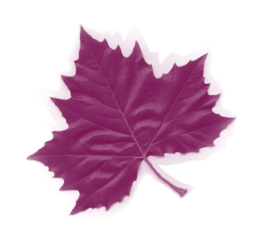Blaadje